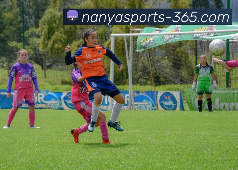 南亚体育数据平台生态图